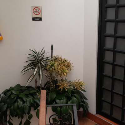 image Apt 303_07_c.jpg